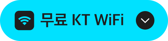 무료 KT WiFi