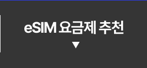 eSIM 요금제 추천