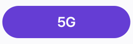5G