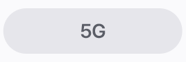 5G