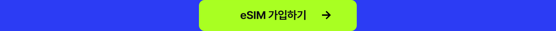 eSIM 셀프개통하기