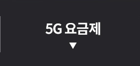 5G 요금제