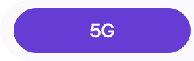5G