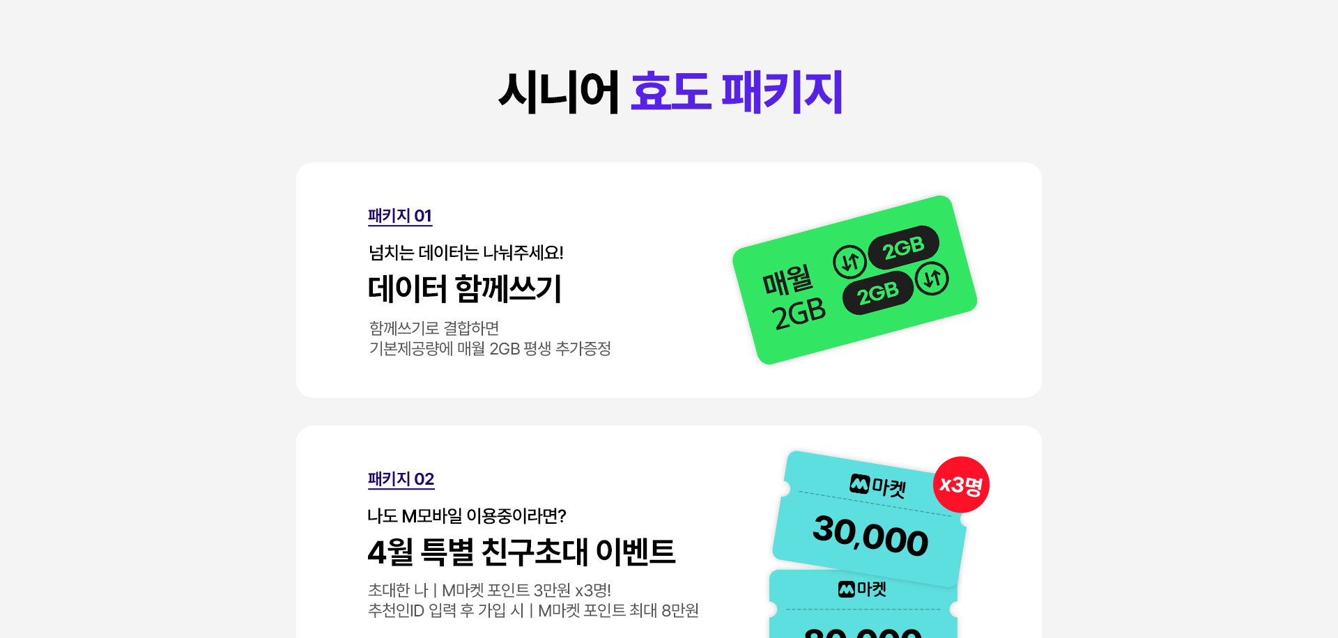 시니어 효도 패키지