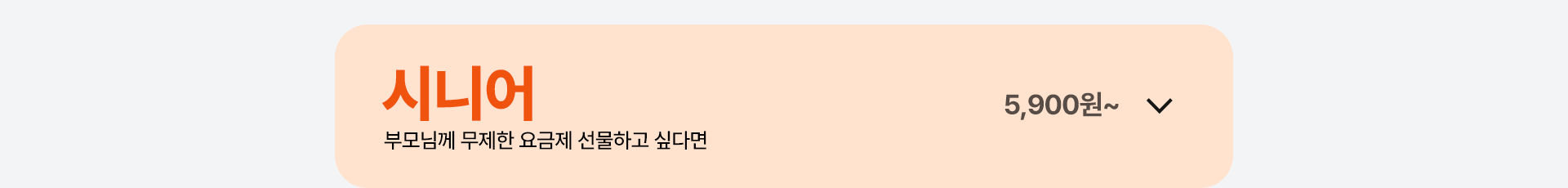 시니어 요금제 열기