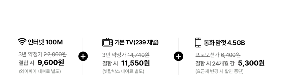 갓성비 조합