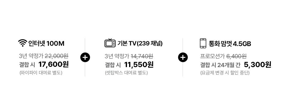 갓성비 조합