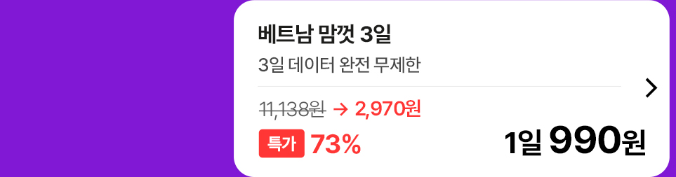 베트남 맘껏 3일 요금