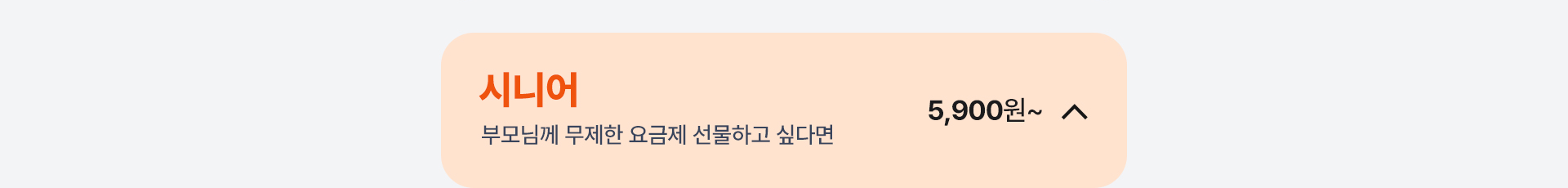 시니어 요금제 닫기