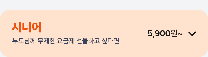 시니어 요금제 열기