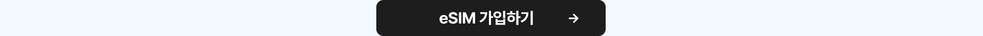eSIM 셀프개통하기